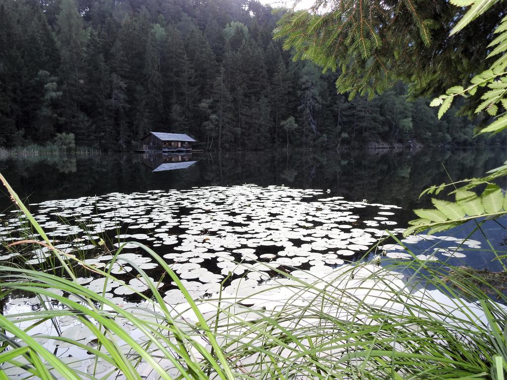 Gasthof Piburger See Hotel Oetz Kültér fotó